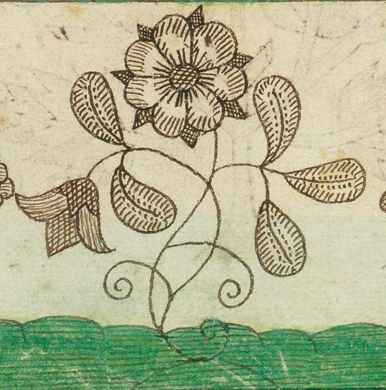 Détail d'une planche imprimée : c'est une rose stylisée dans le style de la renaissance gravée avec des hachure pour figurer les ombres.